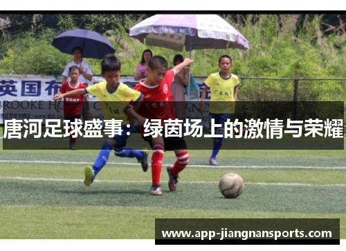 唐河足球盛事：绿茵场上的激情与荣耀